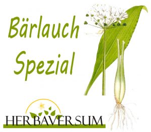 baerlauch-spezial